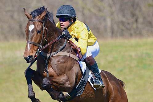 Sun and southern charm at ODH races